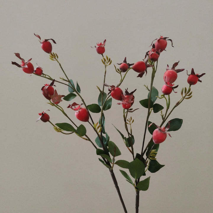 Decoratieve Natuurlijke Gedroogde Bloemenstelen