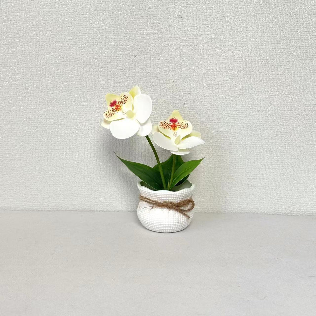 Decoratieve Potplant Orchidee Arrangement voor Binnengebruik
