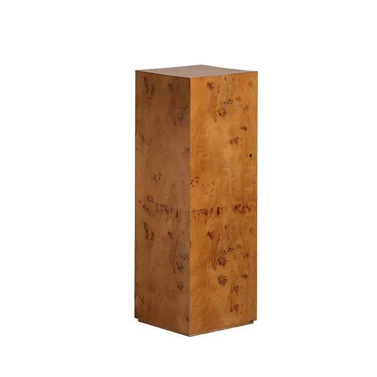 Moderne Decoratieve Houten Opslagkast
