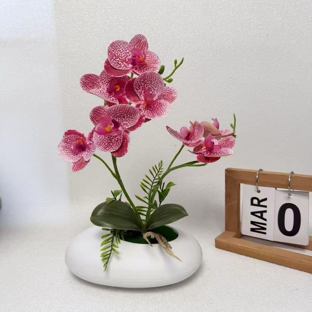 Levensechte Orchidee Bloemarrangement  1790480790