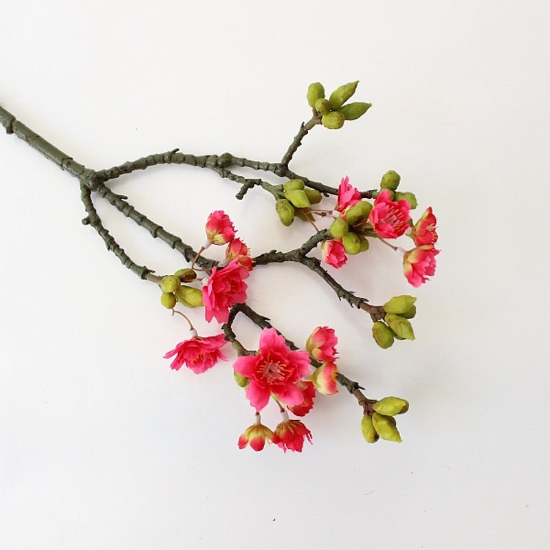 Decoratieve Bloemtak