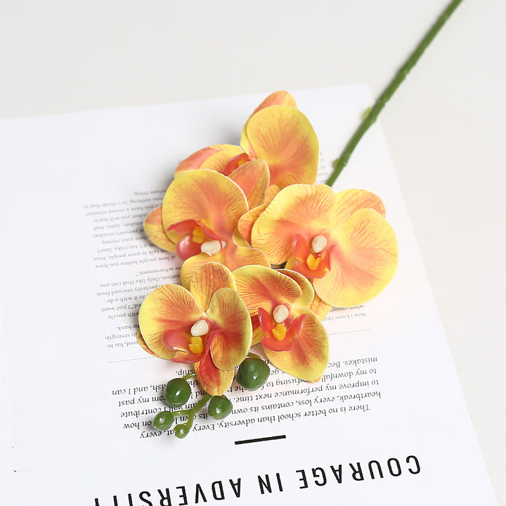 Realistische Orchidee Bloem Stem