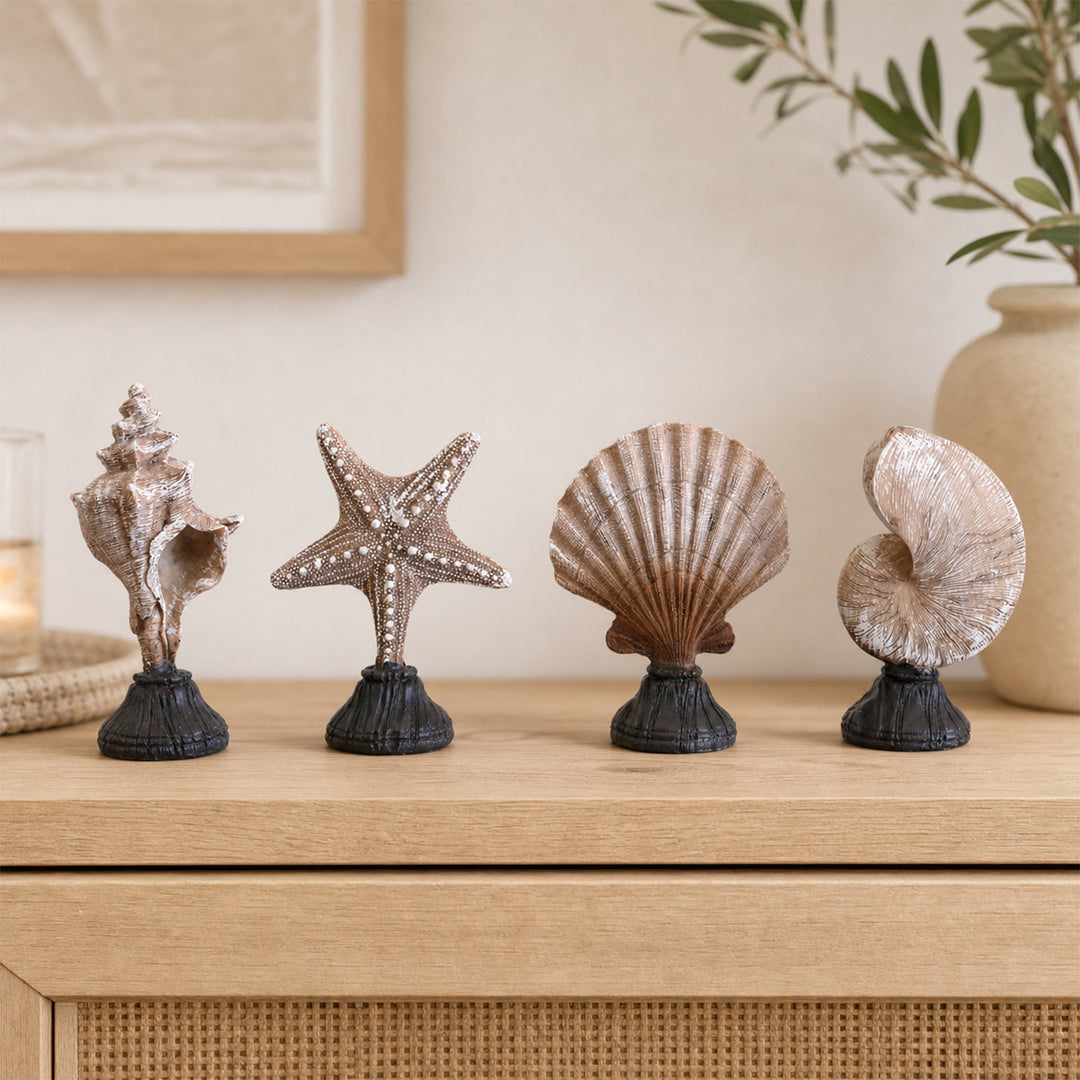 Zeester Beeldje Thuis Display