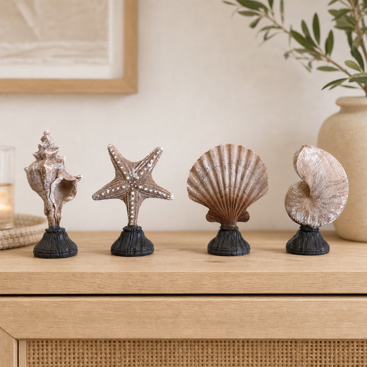 Zeester Beeldje Thuis Display