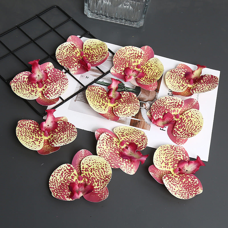 Decoratieve Orchidee Petal voor Thuisdecoratie Display