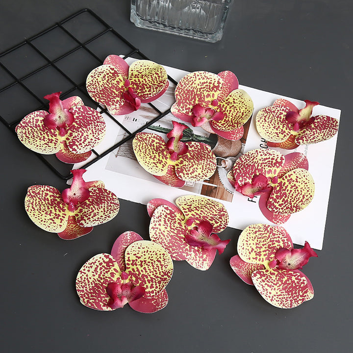 Decoratieve Orchidee Petal voor Thuisdecoratie Display
