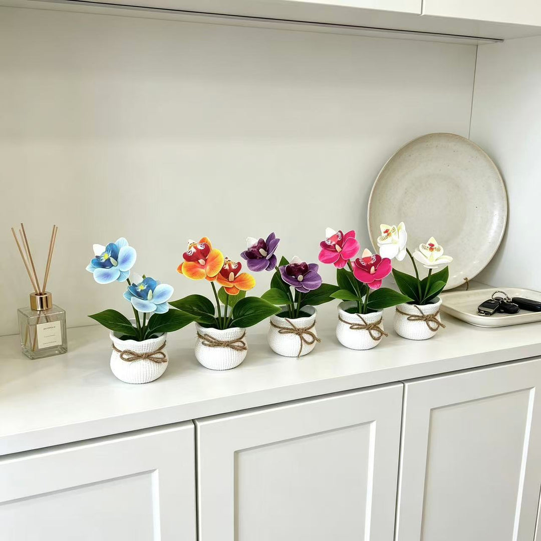 Decoratieve Potplant Orchidee Arrangement voor Binnengebruik
