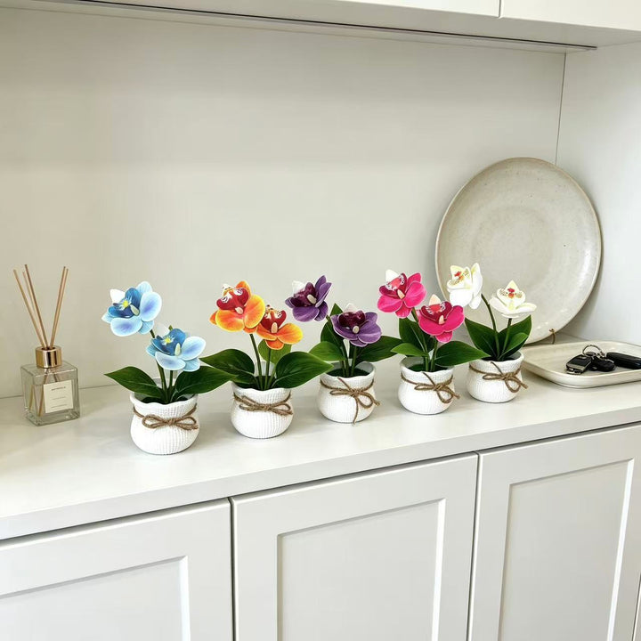 Decoratieve Potplant Orchidee Arrangement voor Binnengebruik