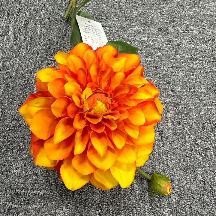 Exquise Nep-Dahlia Bloemsteel