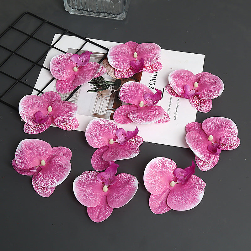 Decoratieve Orchidee Petal voor Thuisdecoratie Display