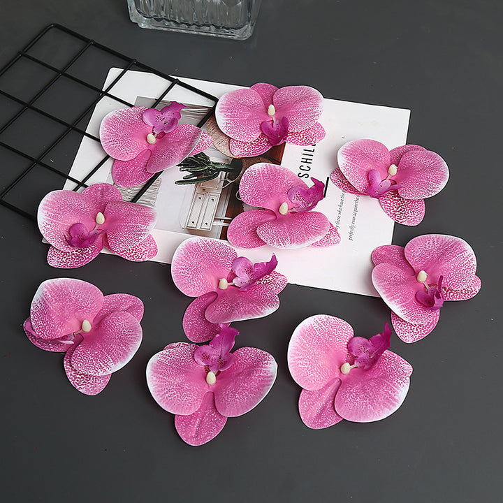 Decoratieve Orchidee Petal voor Thuisdecoratie Display
