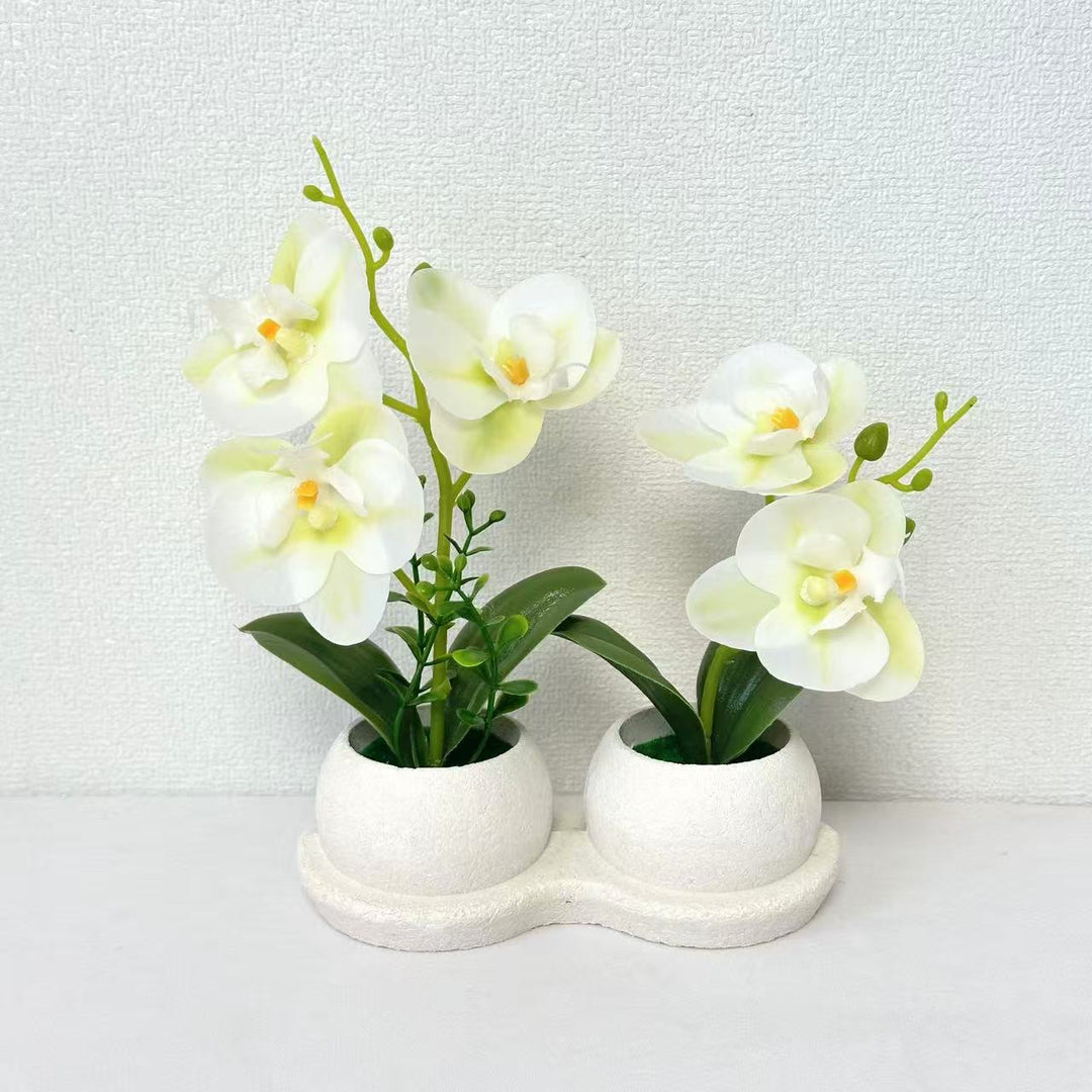 Elegante Nep-Orchidee Bloemendisplay