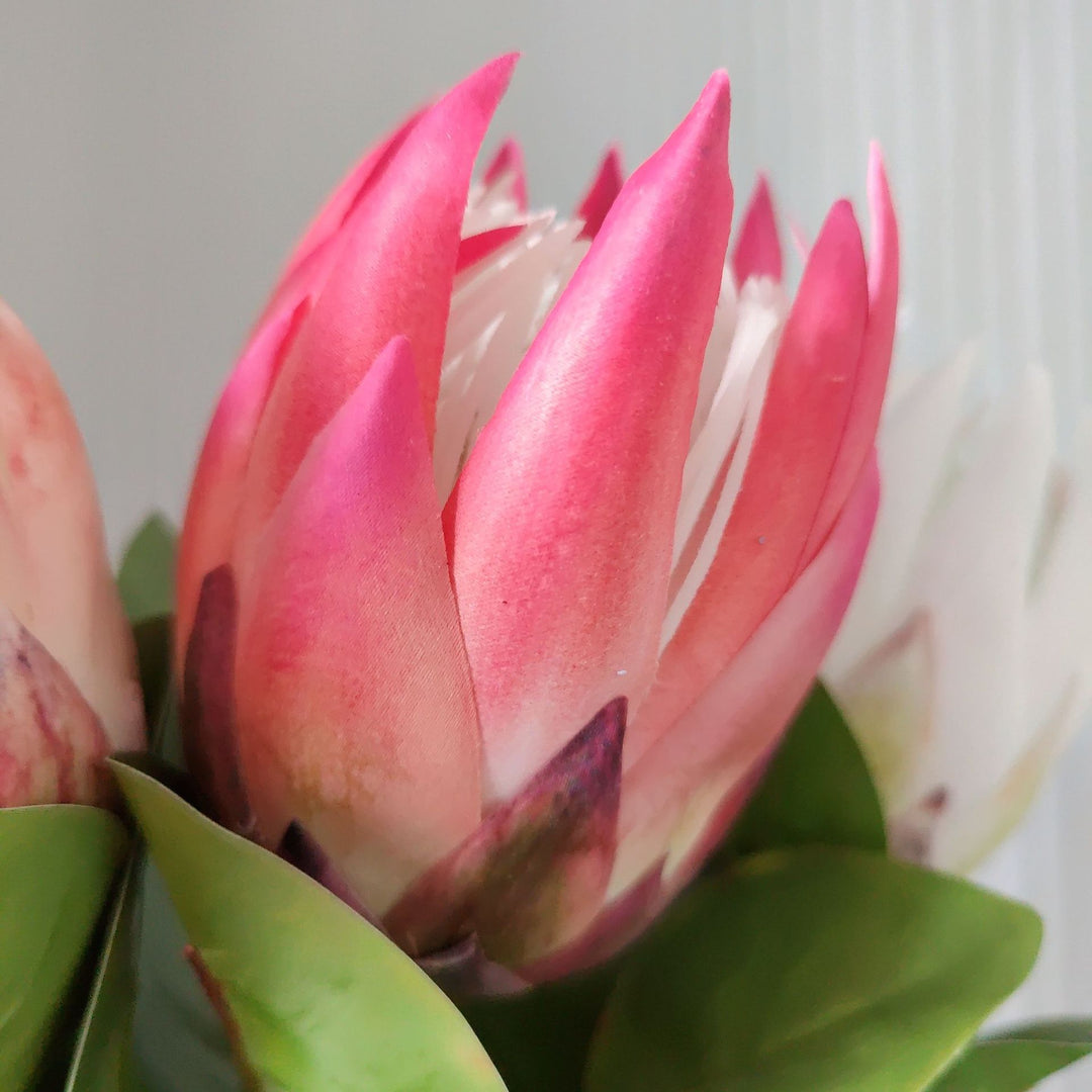 Levensechte Protea Bloem Steel