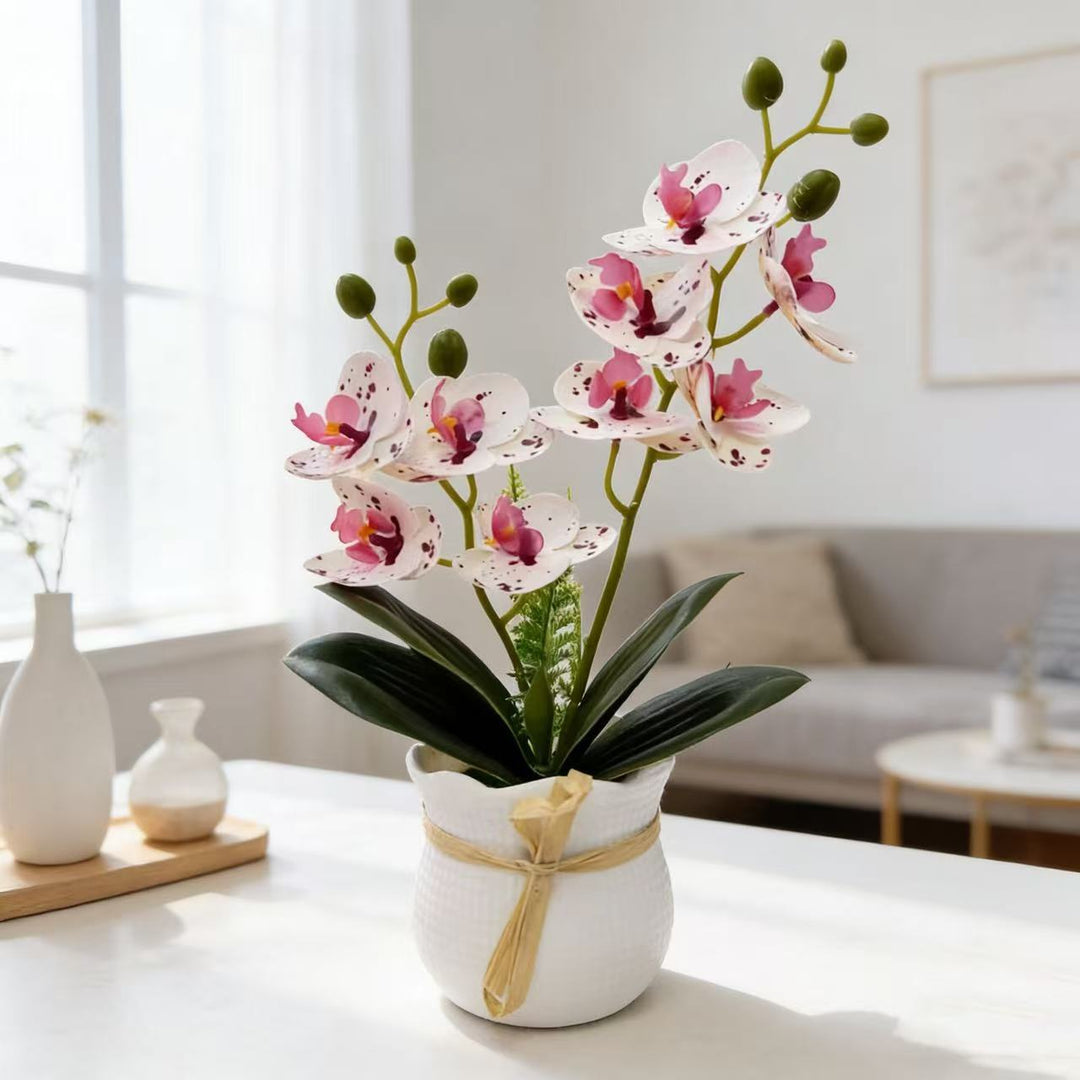 Realistische Decoratieve Orchidee Plant