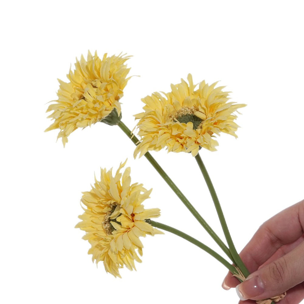 Levensechte Gerbera Daisy Stengel