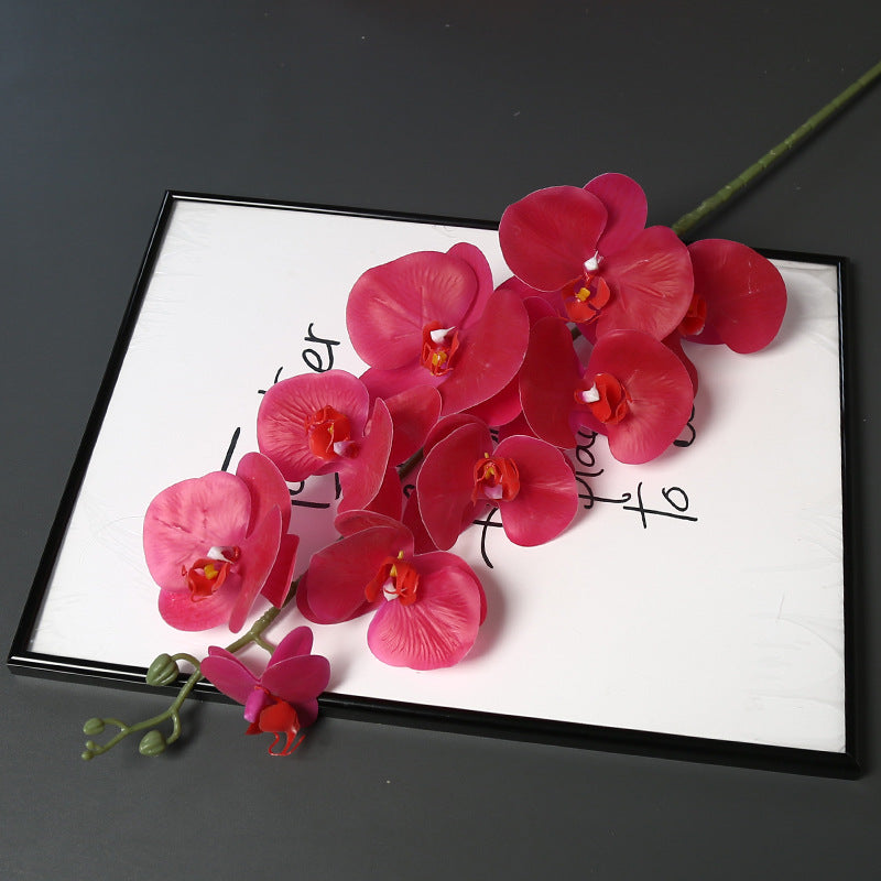 Nepatuur Orchidee Bloemsteel voor Woondecoratie Display