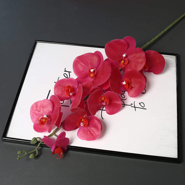 Nepatuur Orchidee Bloemsteel voor Woondecoratie Display