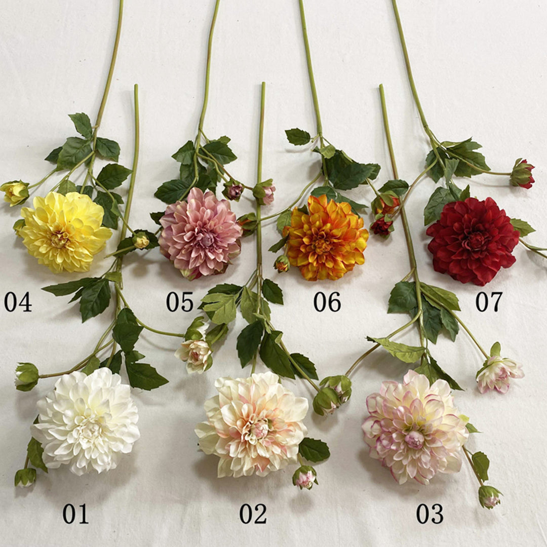 Exquise Nep-Dahlia Bloemsteel