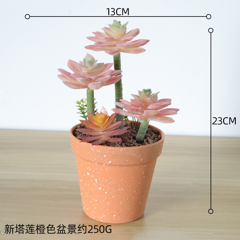Kunstmatige Succulente Plantenarrangement