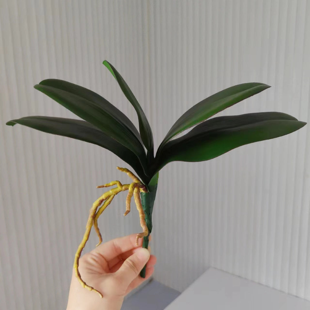 Realistisch Orchidee Blad Arrangement
