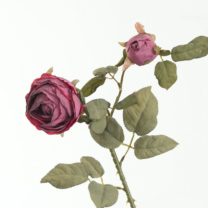 Levensechte Roze Rozensteel