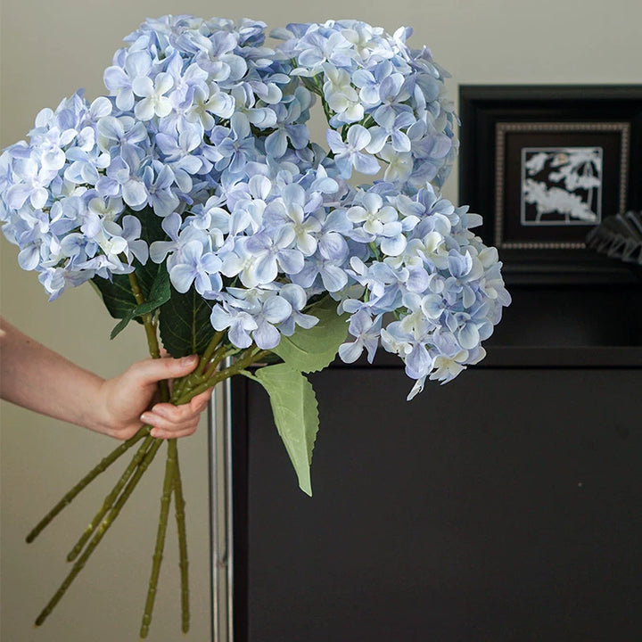 Hortensia Decoratieve Bloem Stem