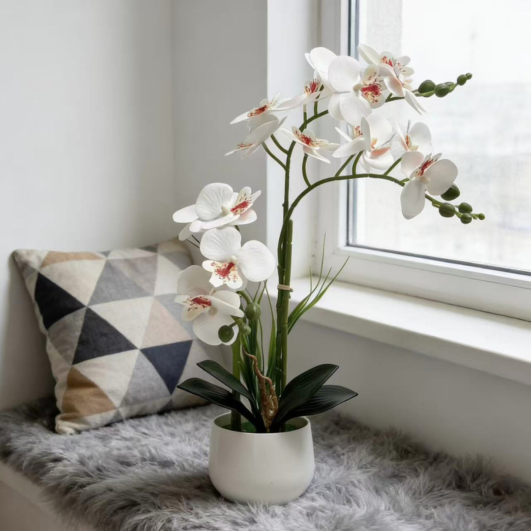 Exquisite Kunstmatige Orchidee Display