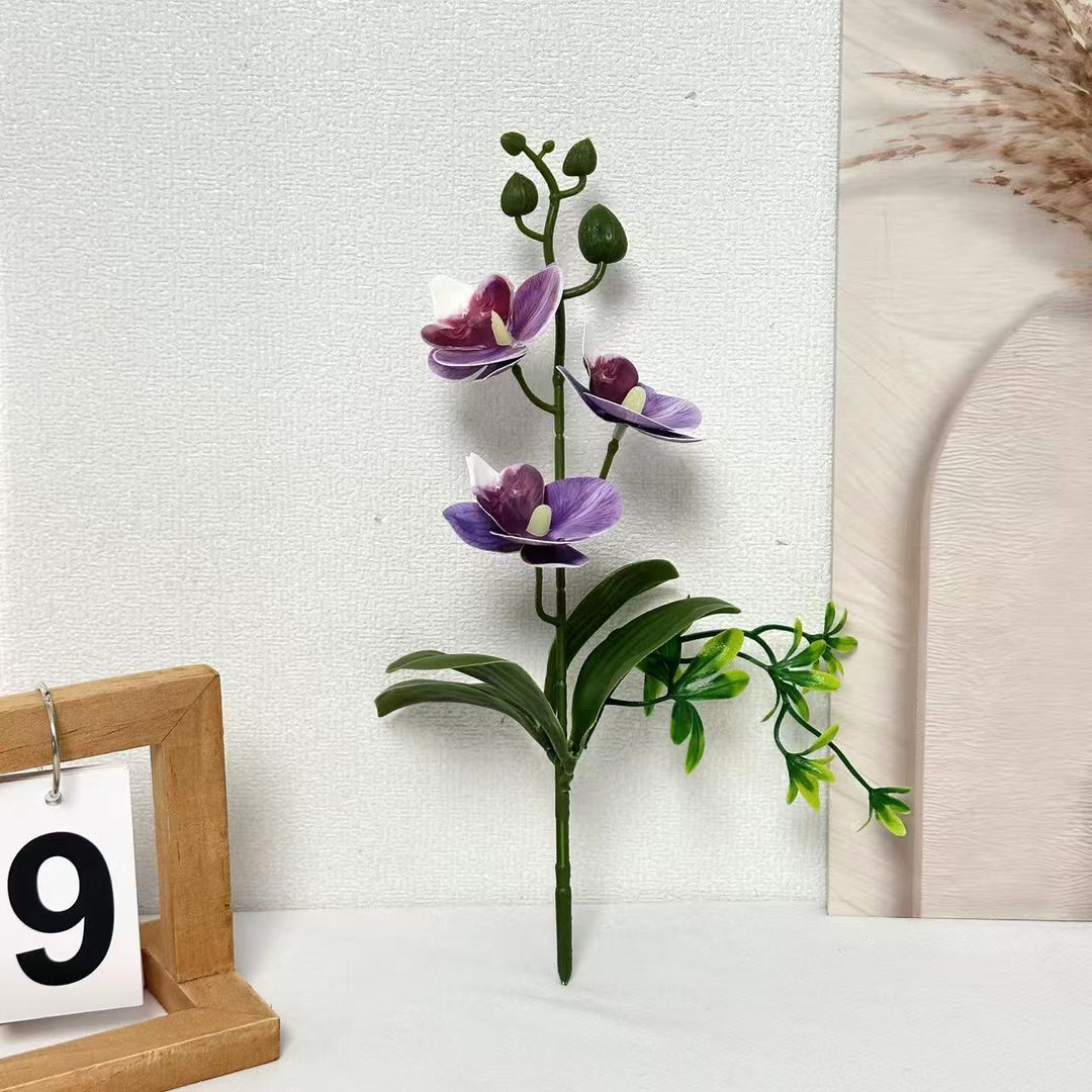 Elegante Orchideeën Bloemstuk