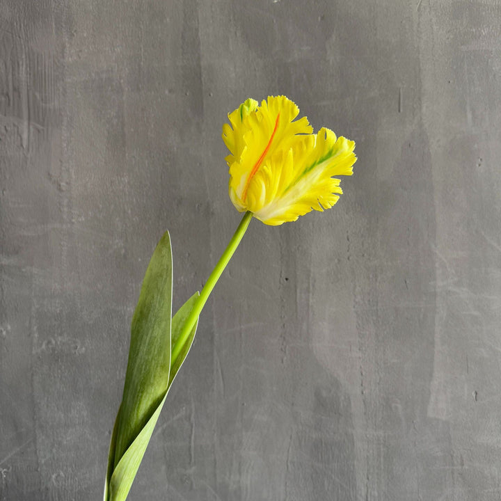 Levensechte Bloem Accent