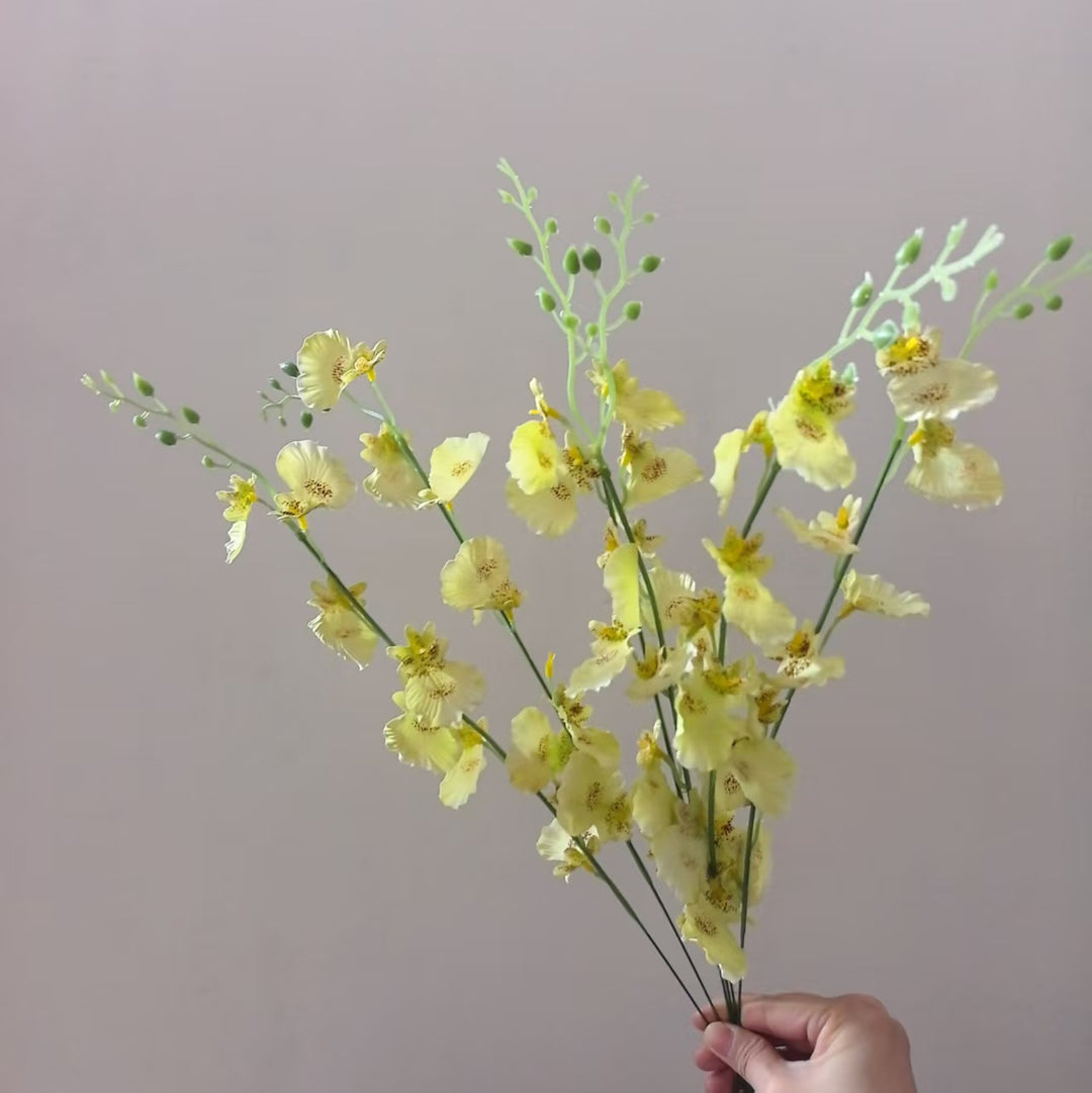 Decoratieve Orchidee Steel