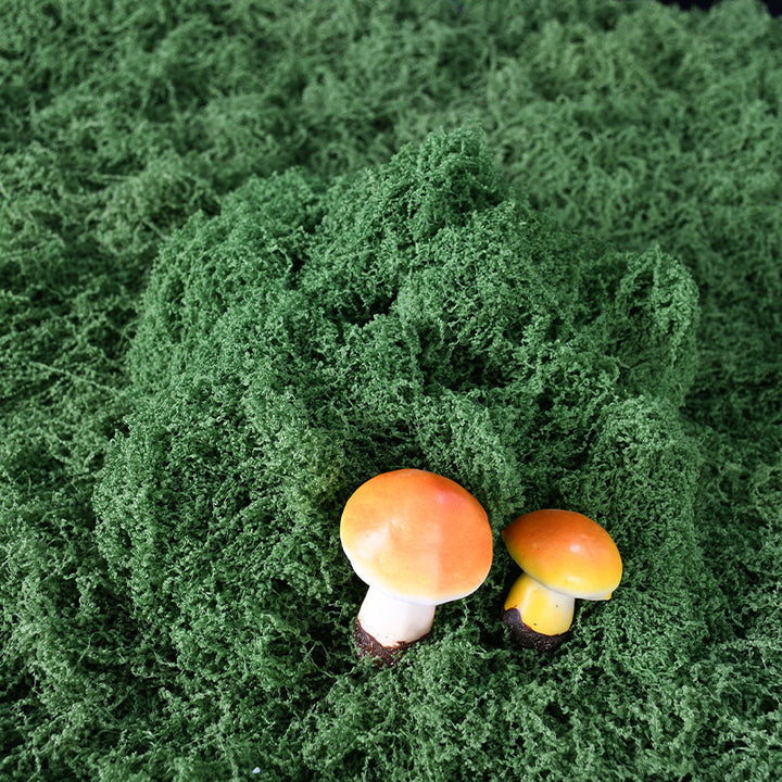 Decoratieve Groene Mos Arrangement