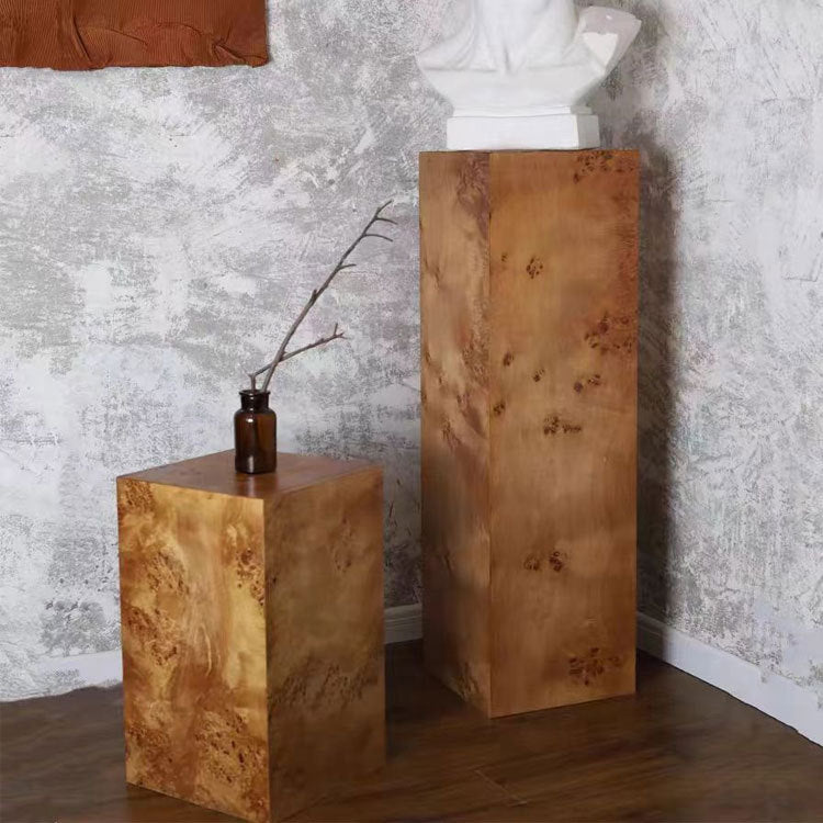 Moderne Decoratieve Houten Opslagkast