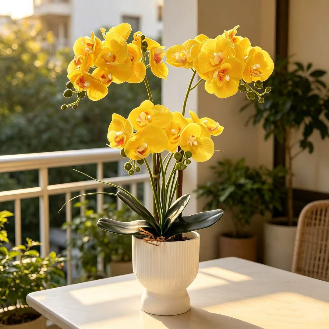 Elegante Neporchidee Arrangement voor Tafeldecoratie