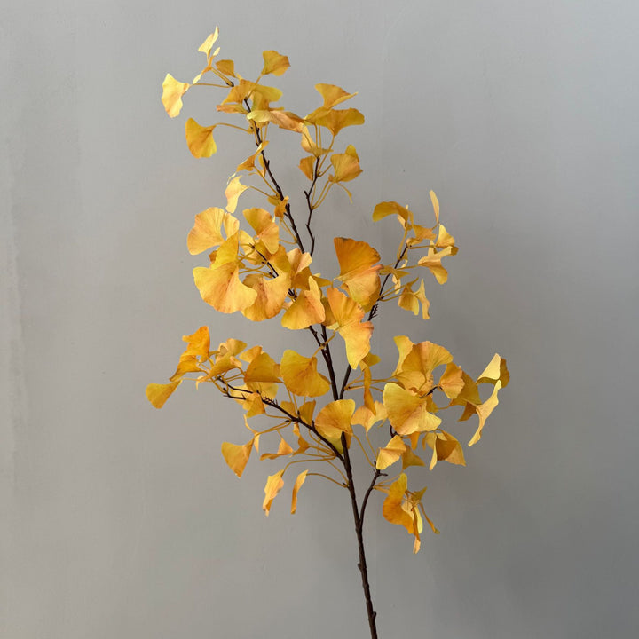 Kunstmatige Ginkgo Blad Steel