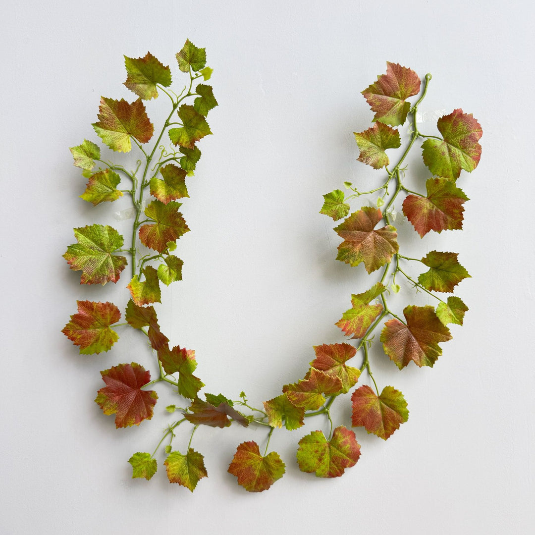 Weelderige Groene Decoratieve Wijnstok
