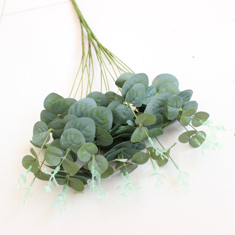 Decoratieve Eucalyptus en Bladarrangement