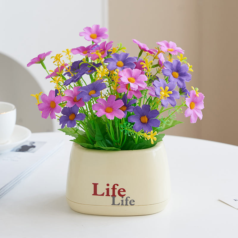 Decoratieve Nep Fruitplant