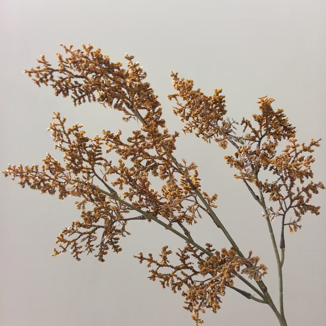 Levensechte Decoratieve Botanische Steel