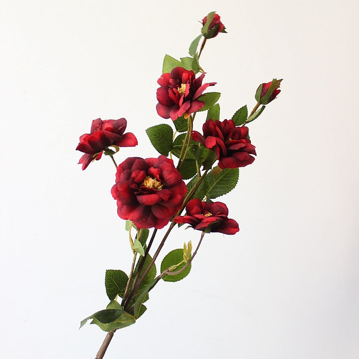 Levensgrote Bloemen Rozensteel