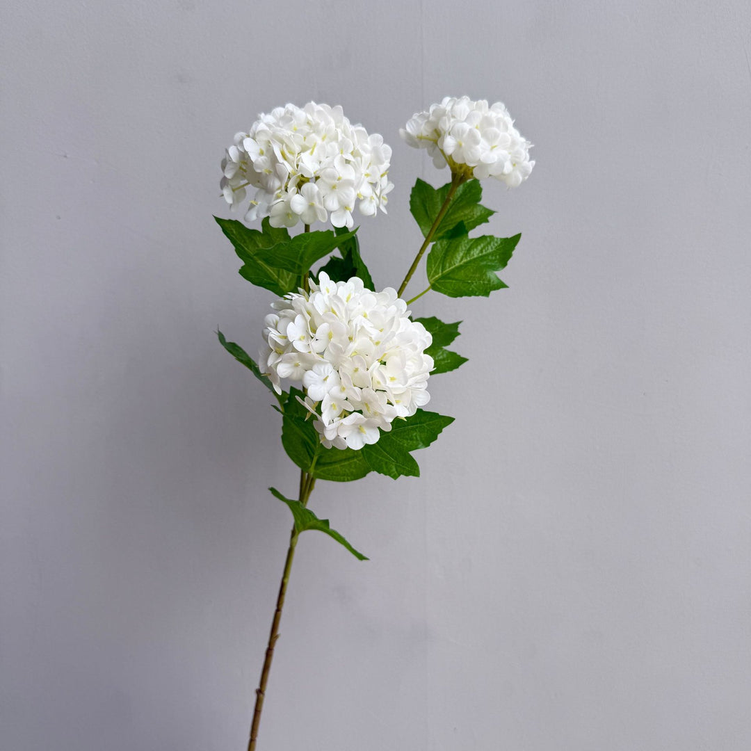 Decoratieve Hortensia Steel