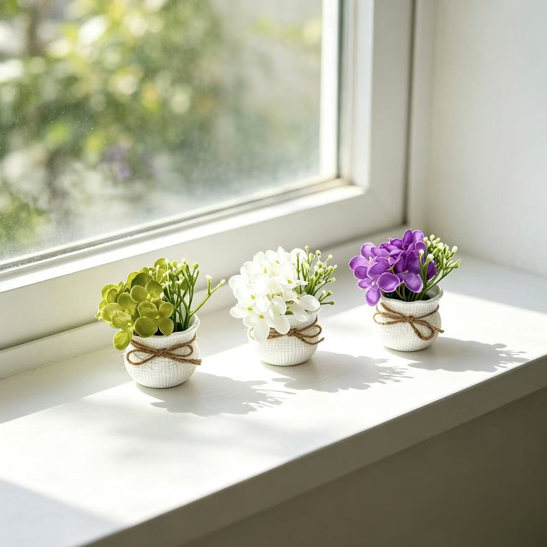 Levensecht Potplant Arrangement