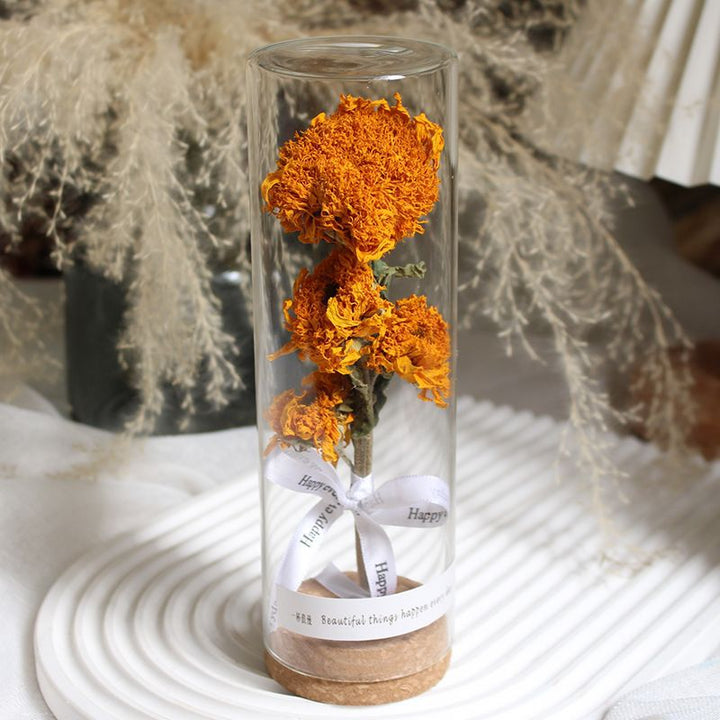 Geconserveerde Bloemdisplay in Elegante Glazen Cilinder