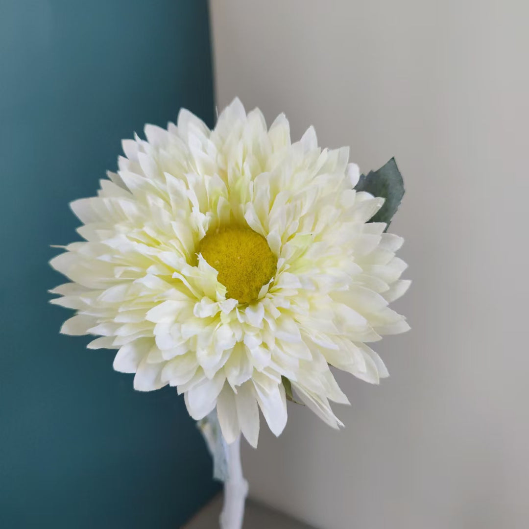 Levensechte Margriet Steel