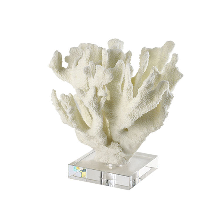 Decoratieve Koraal Sculptuur