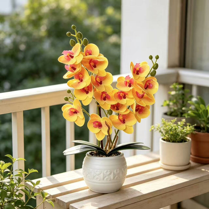 Decoratieve Orchid voor Tafelblad Huisdecoratie