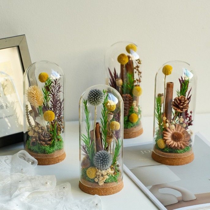 Moderne Decoratieve Bloemen Terrarium