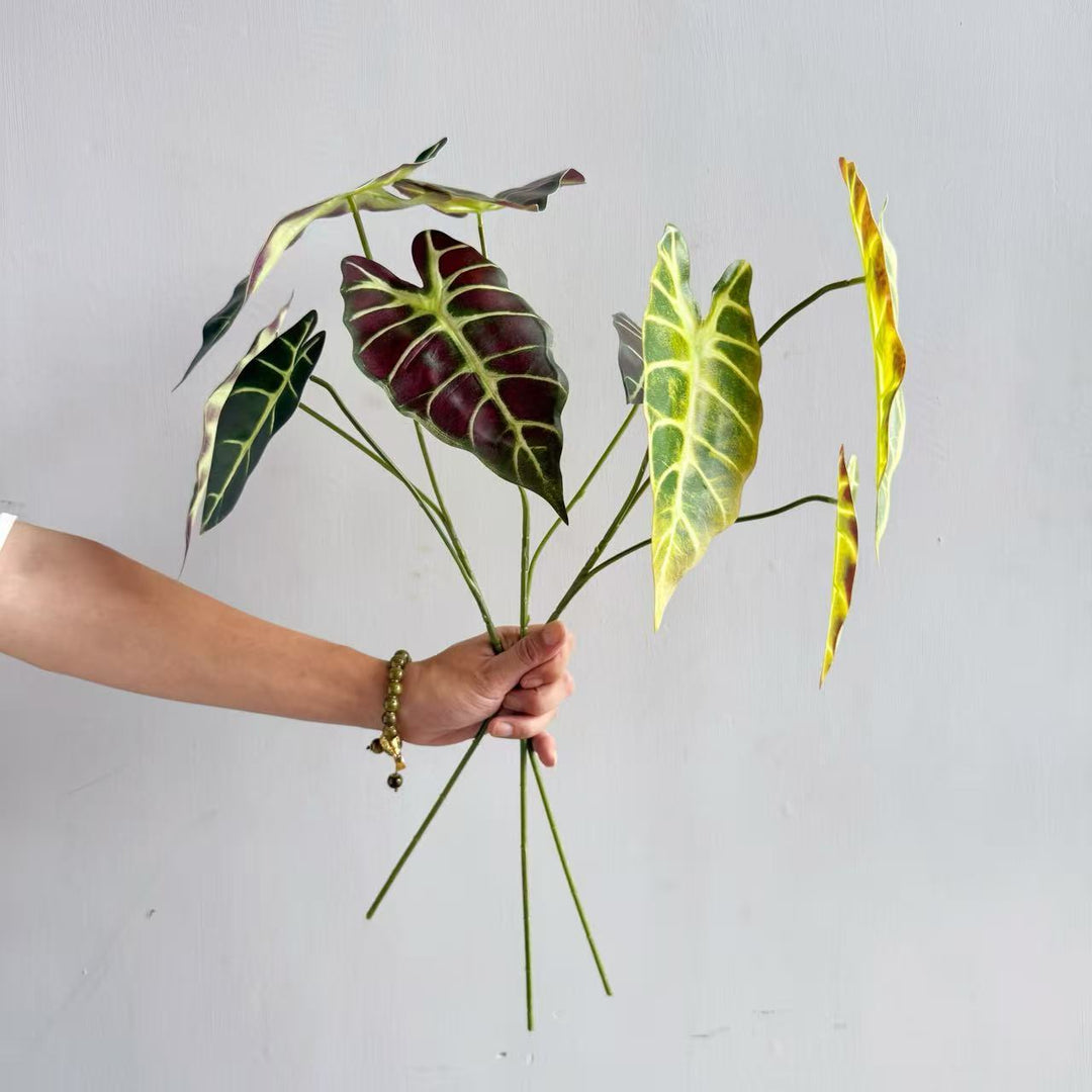 Moderne Decoratieve Plant