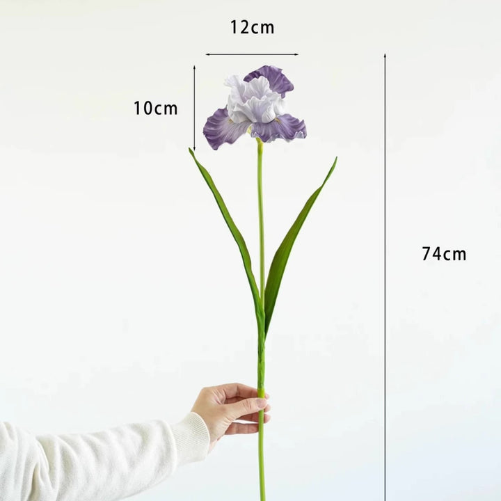 Decoratieve Iris Bloemsteel