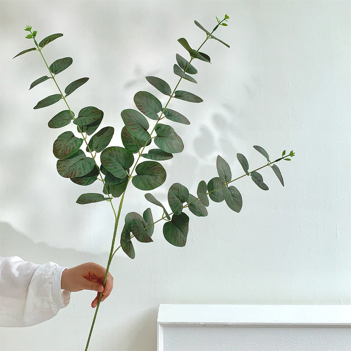 Decoratieve Eucalyptus Steel