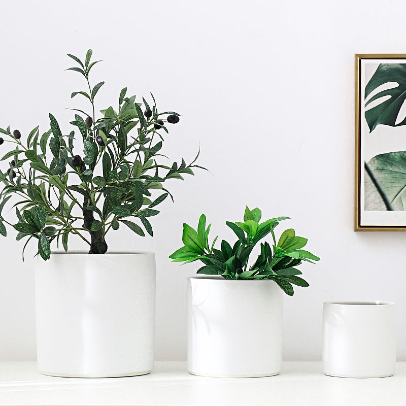 Elegante Keramische Bloempot voor Interieurdecoratie